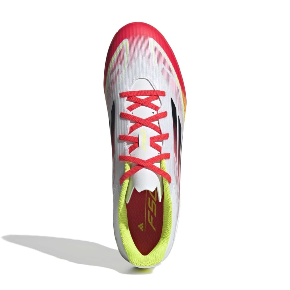 image_a0557006-bd26-4364-aaba-3e4091134a1d