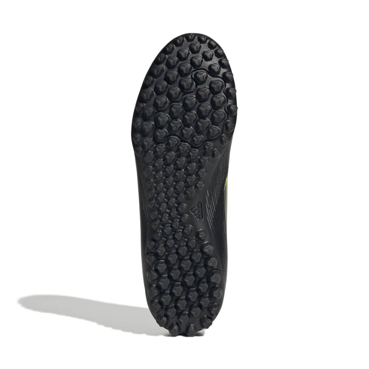 image_c900a8f3-f8c8-406f-a736-d85431ea5900