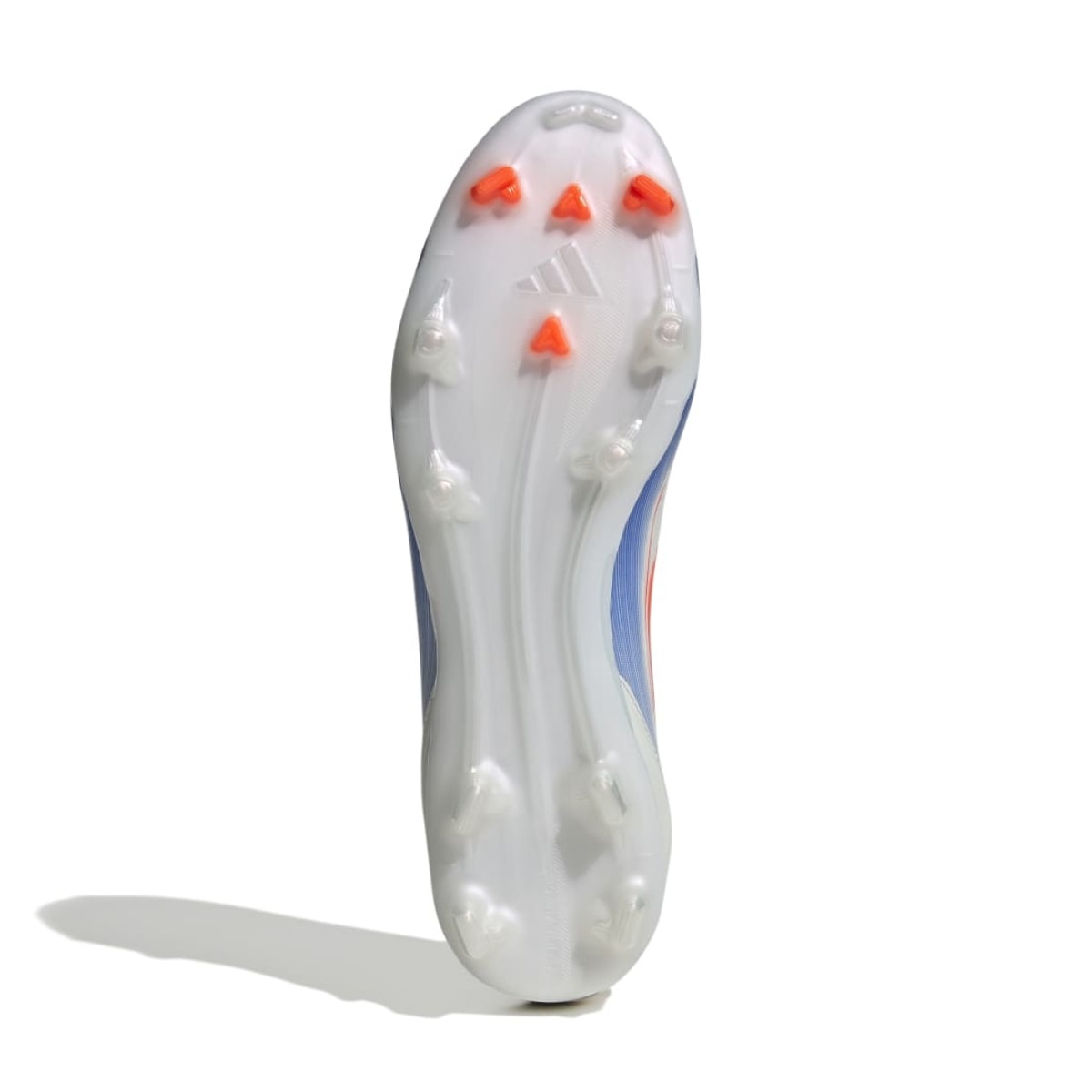 image_c01b2e3d-ec31-40b2-847f-8d9797ace209