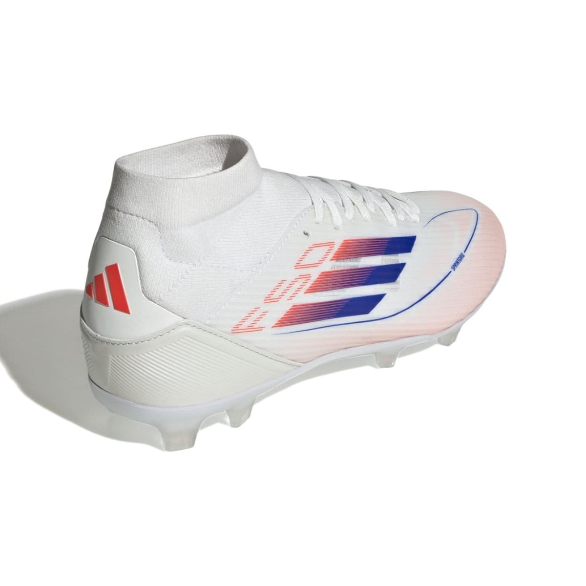 image_12e89e1c-8869-427d-944e-2db424a67c87