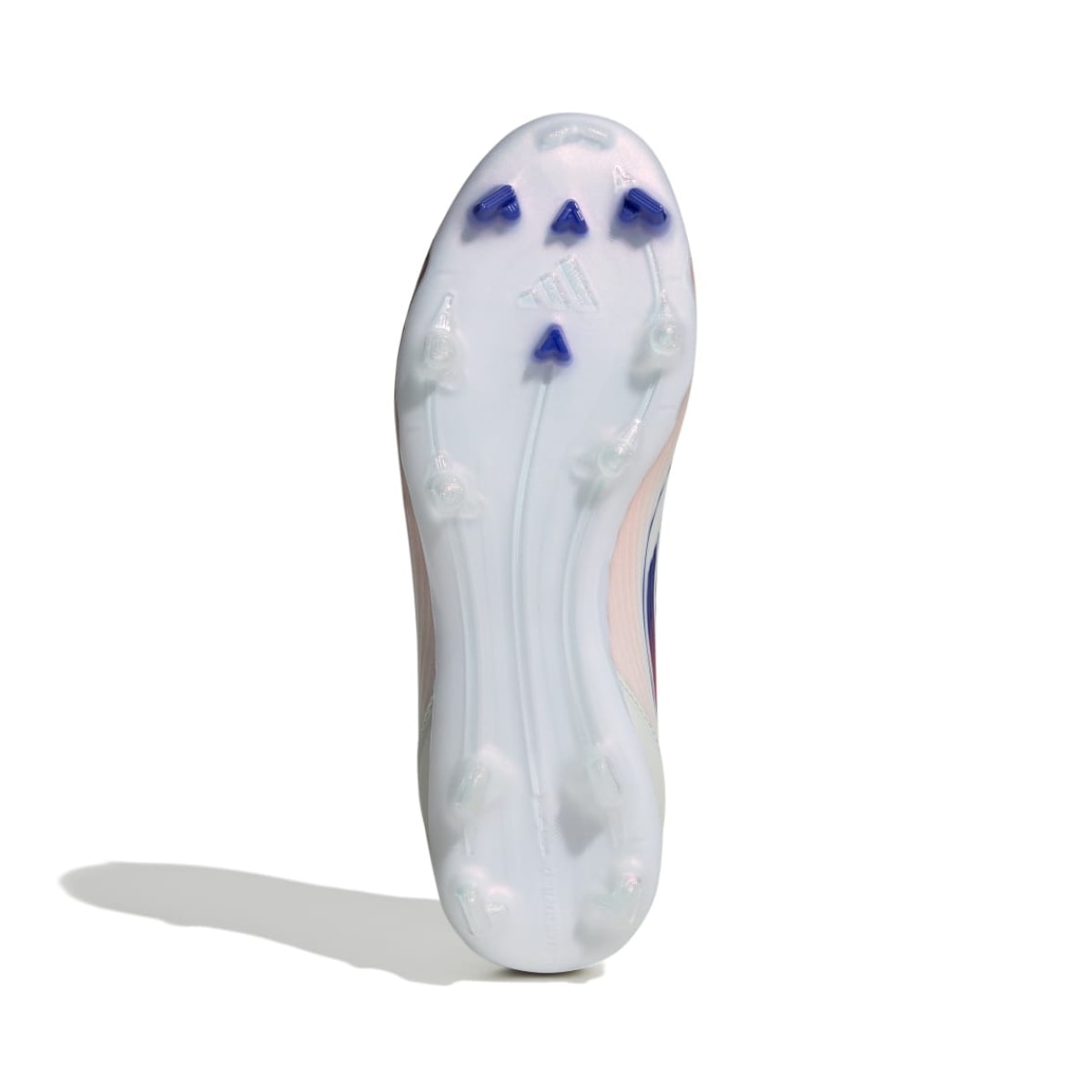 image_671c231a-098a-425b-904c-e9267dc92118