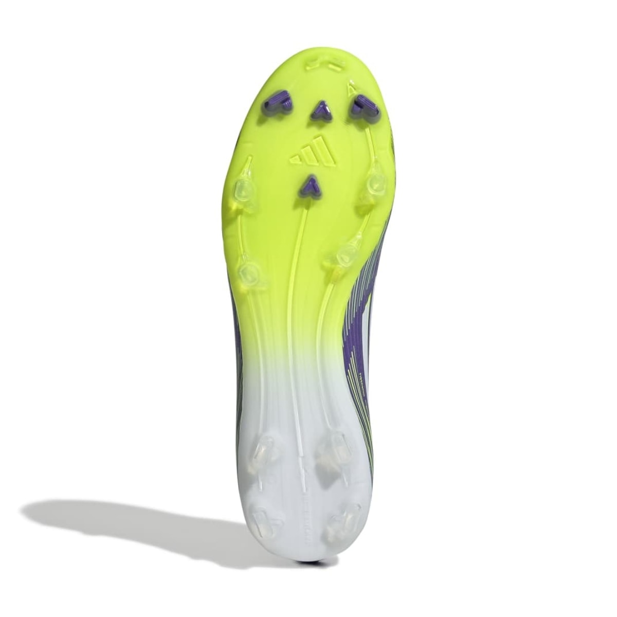 image_7b647f5c-7fad-42c8-959e-d29c3d742f2a