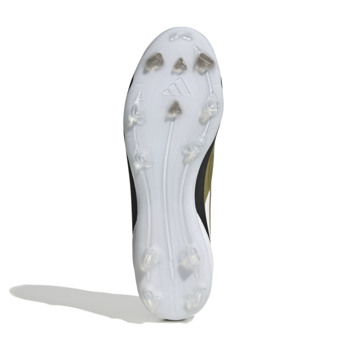 image_2d4ad2d4-4537-426f-ae78-c16c4bf6750f