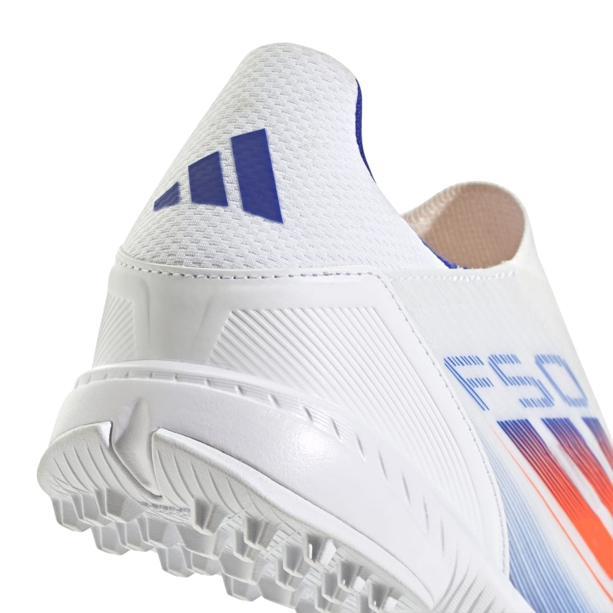 image_c3f90969-094d-4b1c-a1e5-f291c9c55dfd