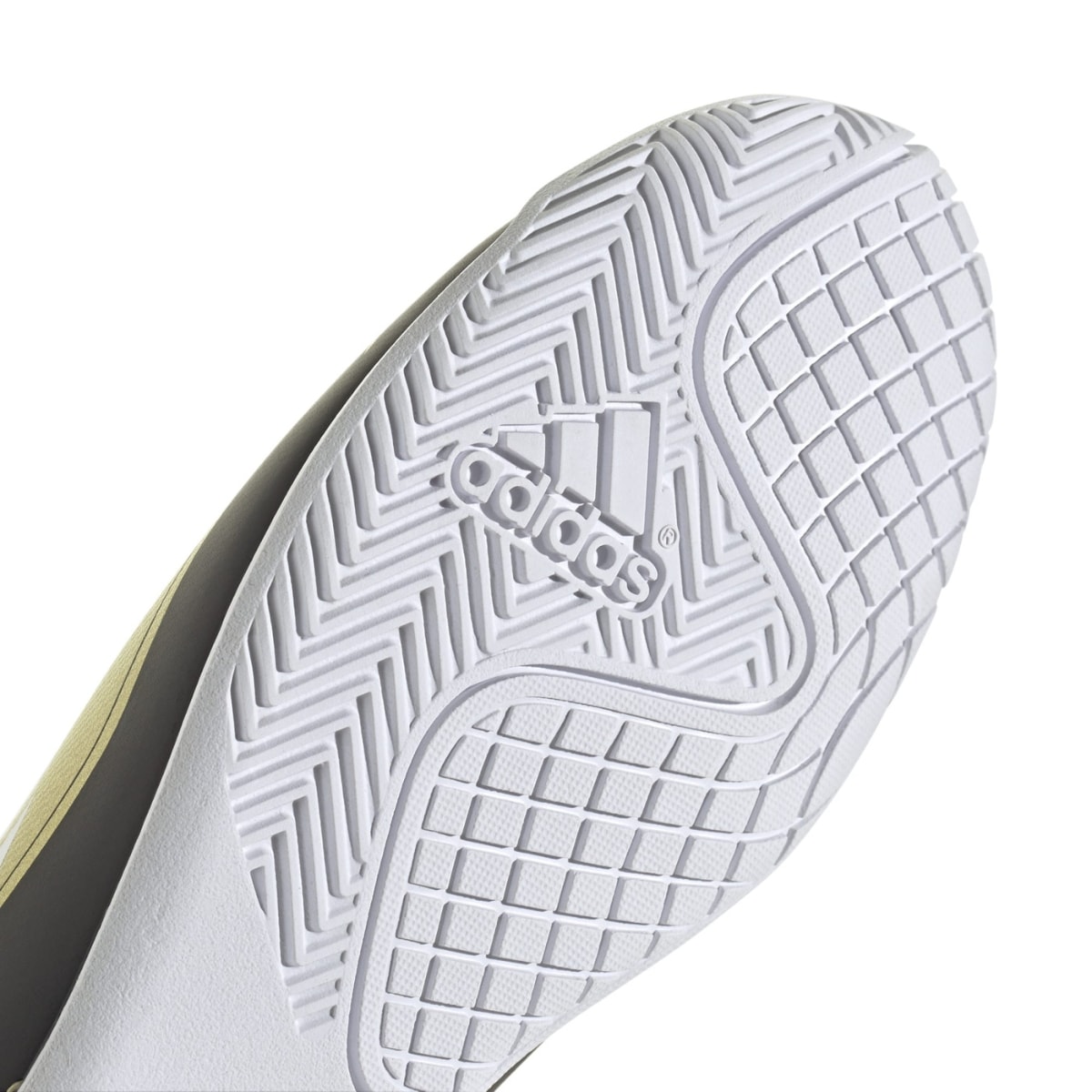 image_e58ff266-303f-4635-8ff1-e6e8f42b1553