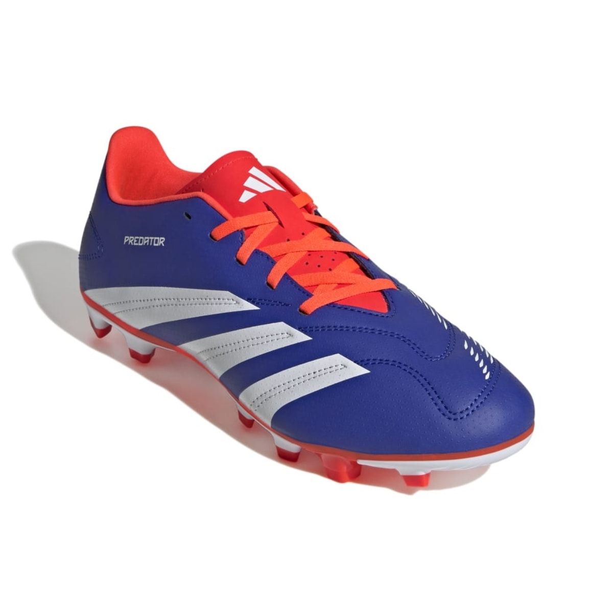 image_9220f954-8b1f-44b3-9faf-0be6b2c03e08