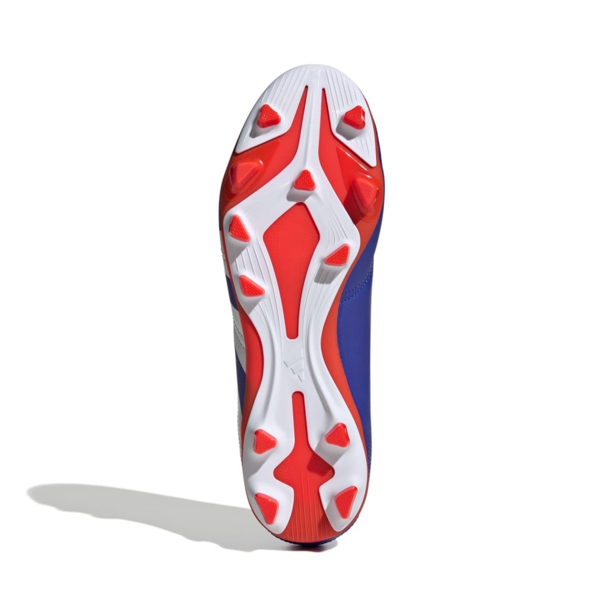 image_b5a9fcb3-a2e2-4652-89c3-2a0dc8ecc742