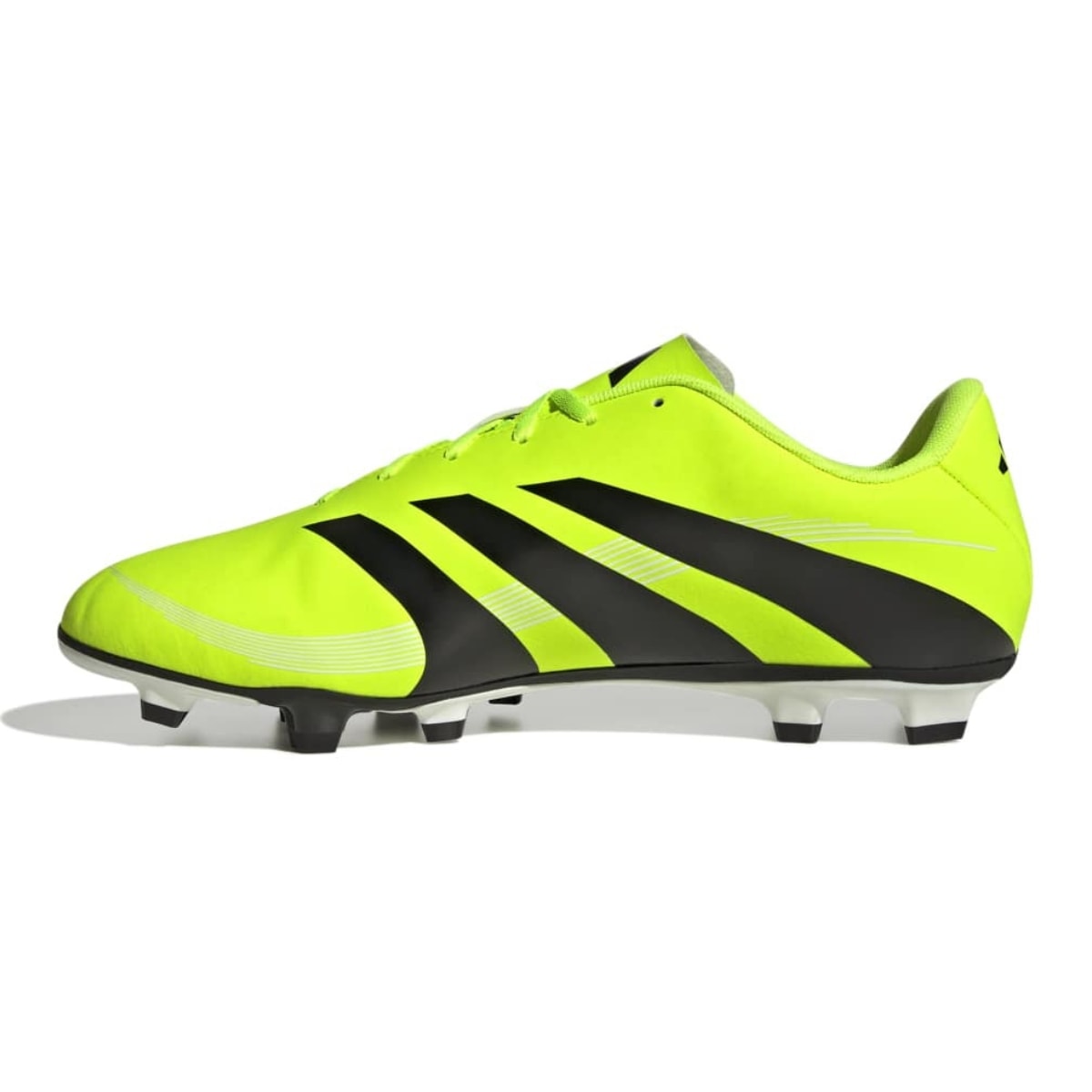 image_f03ba805-cb0c-451e-aed3-d89e050433e2