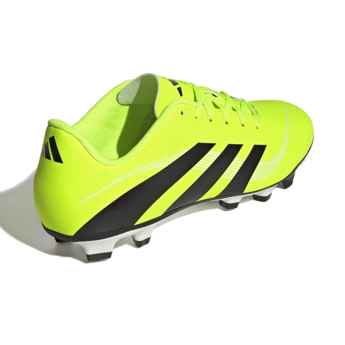 image_fc2c4107-2556-4be0-874b-251b8a42c907