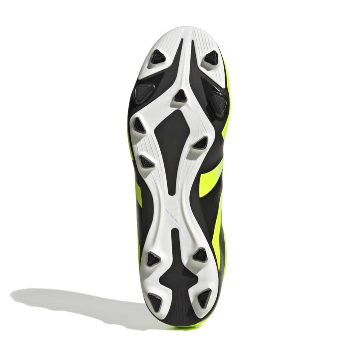 image_14e9fd88-daae-4df8-849a-bd828e790415