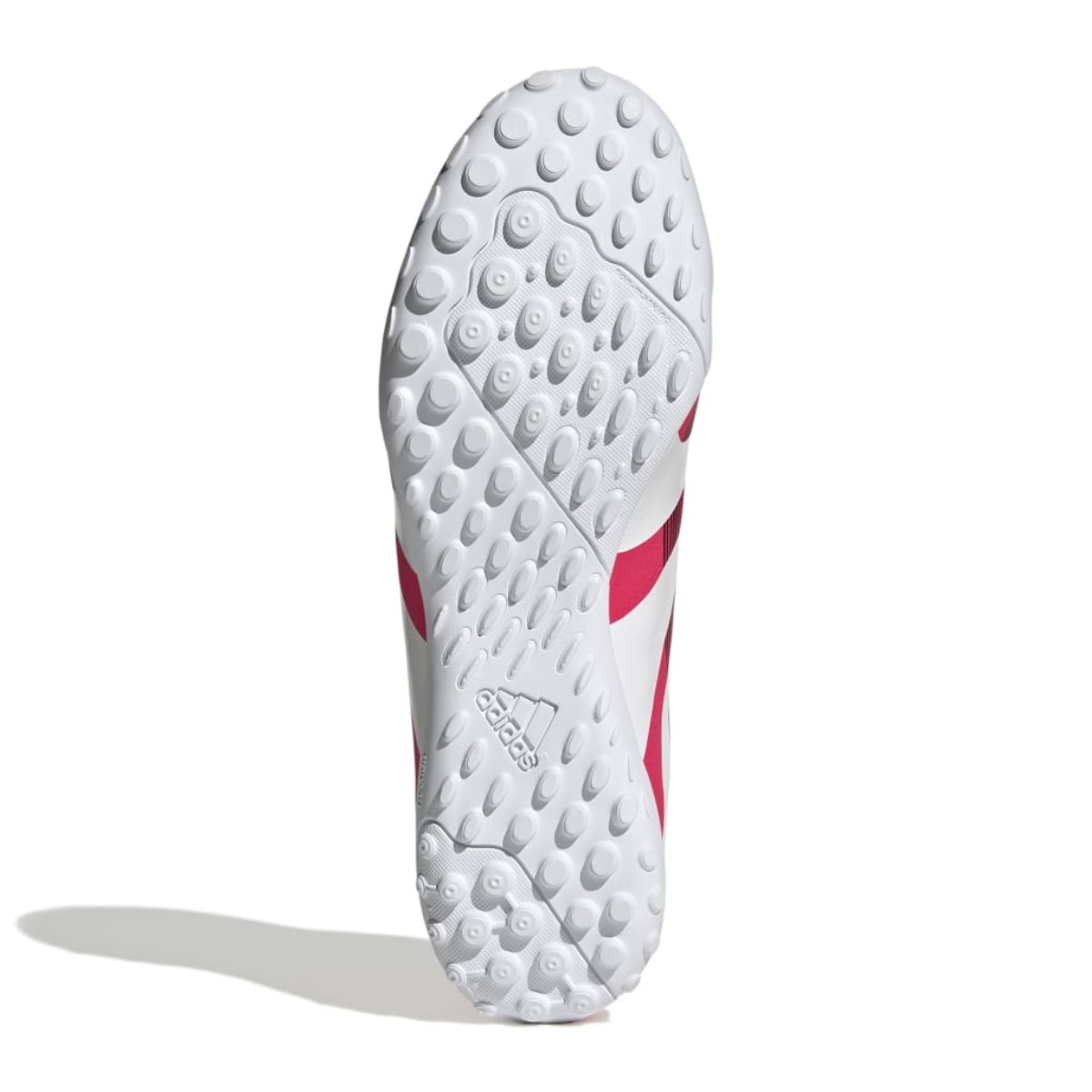 image_d8bb8922-92e7-42a5-b9dc-d2a18ee84fac