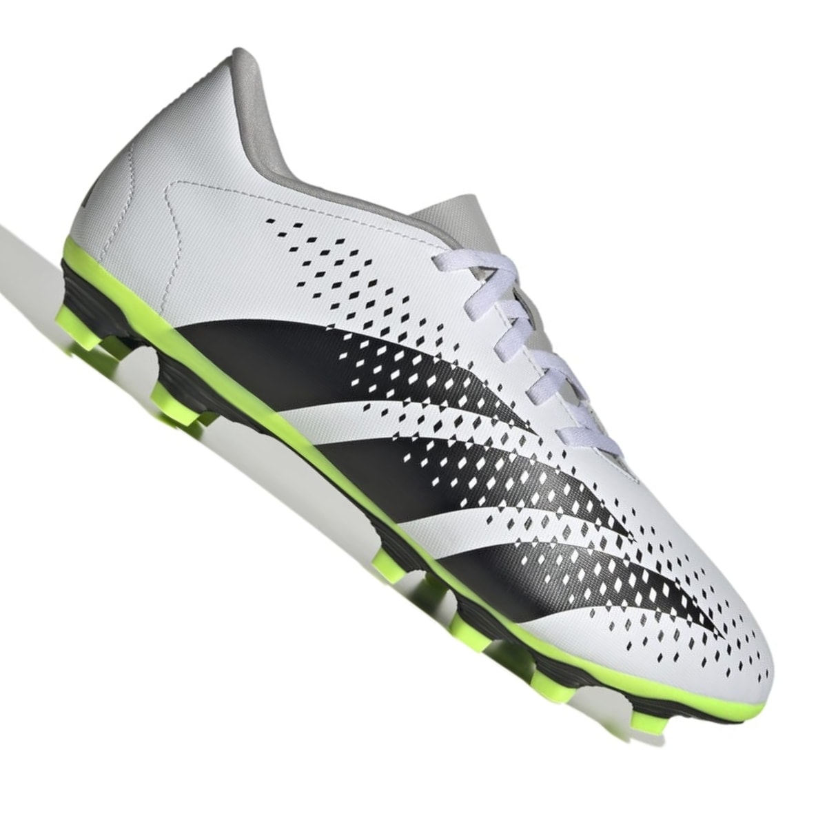 image_477ea311-1535-43a8-826a-a4e75a310702