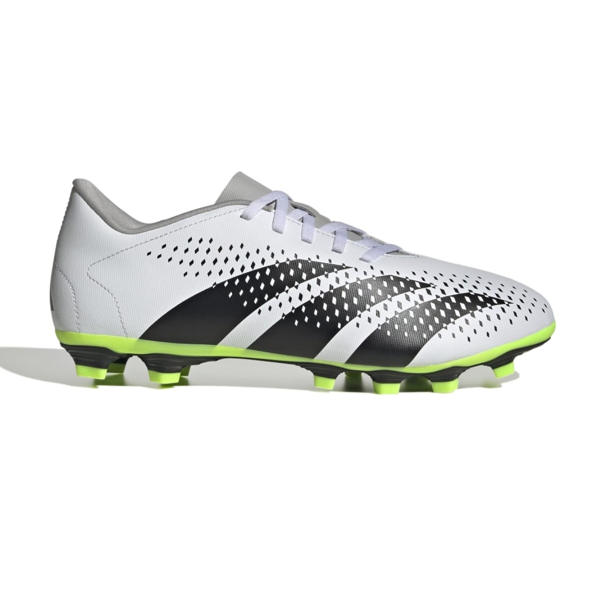 image_626b6545-9837-4fd7-ba05-b386509d6193