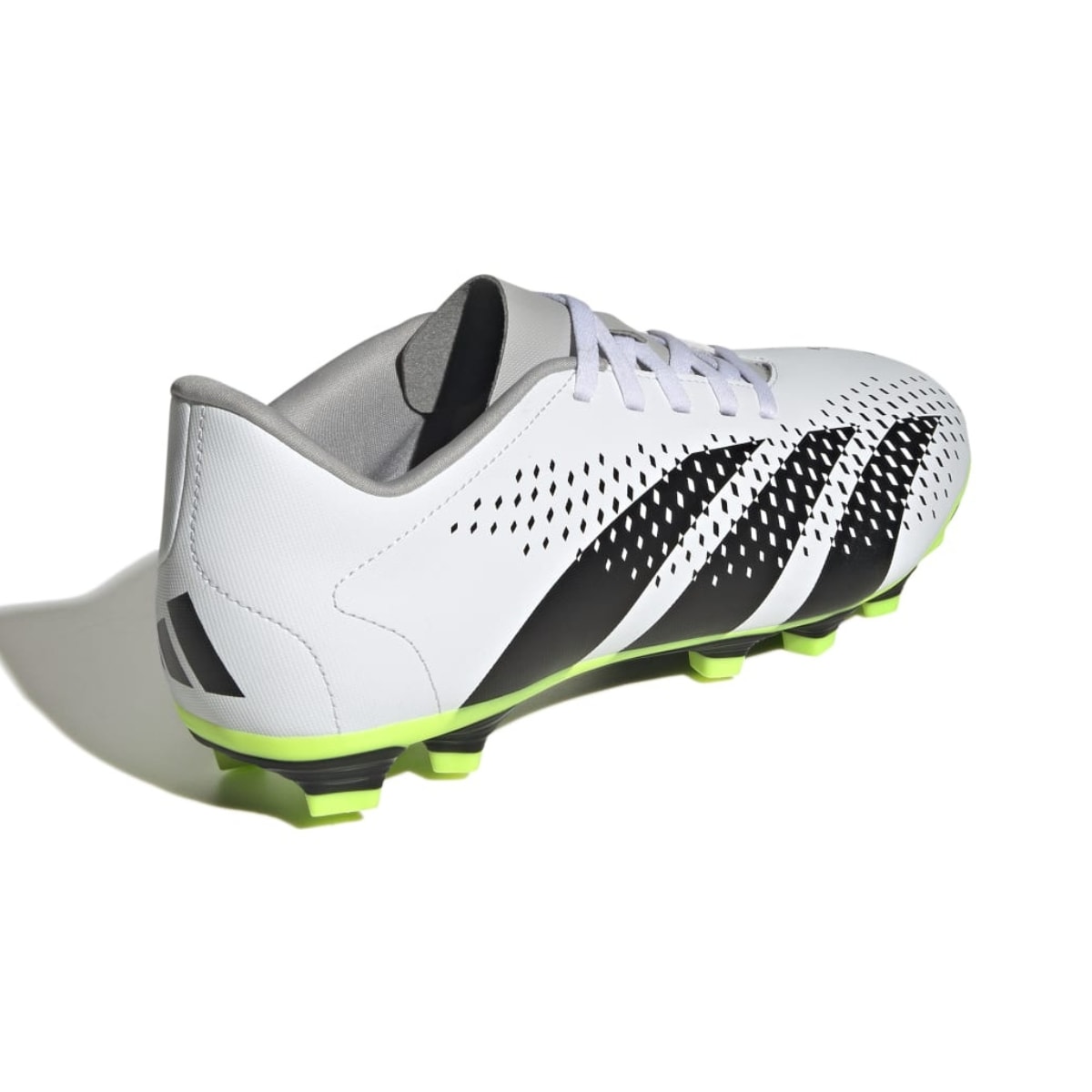 image_0b1231bf-4941-4e2e-92ea-2545d5fbfe42