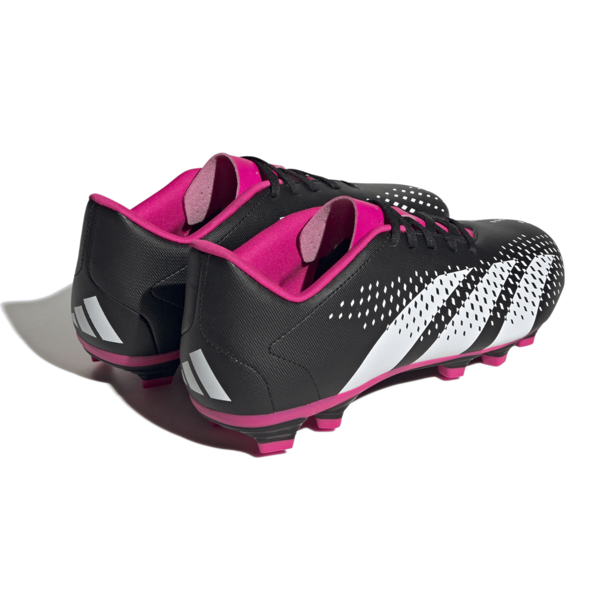 image_76bb6b3c-f481-4622-b2a4-35e9f8483926