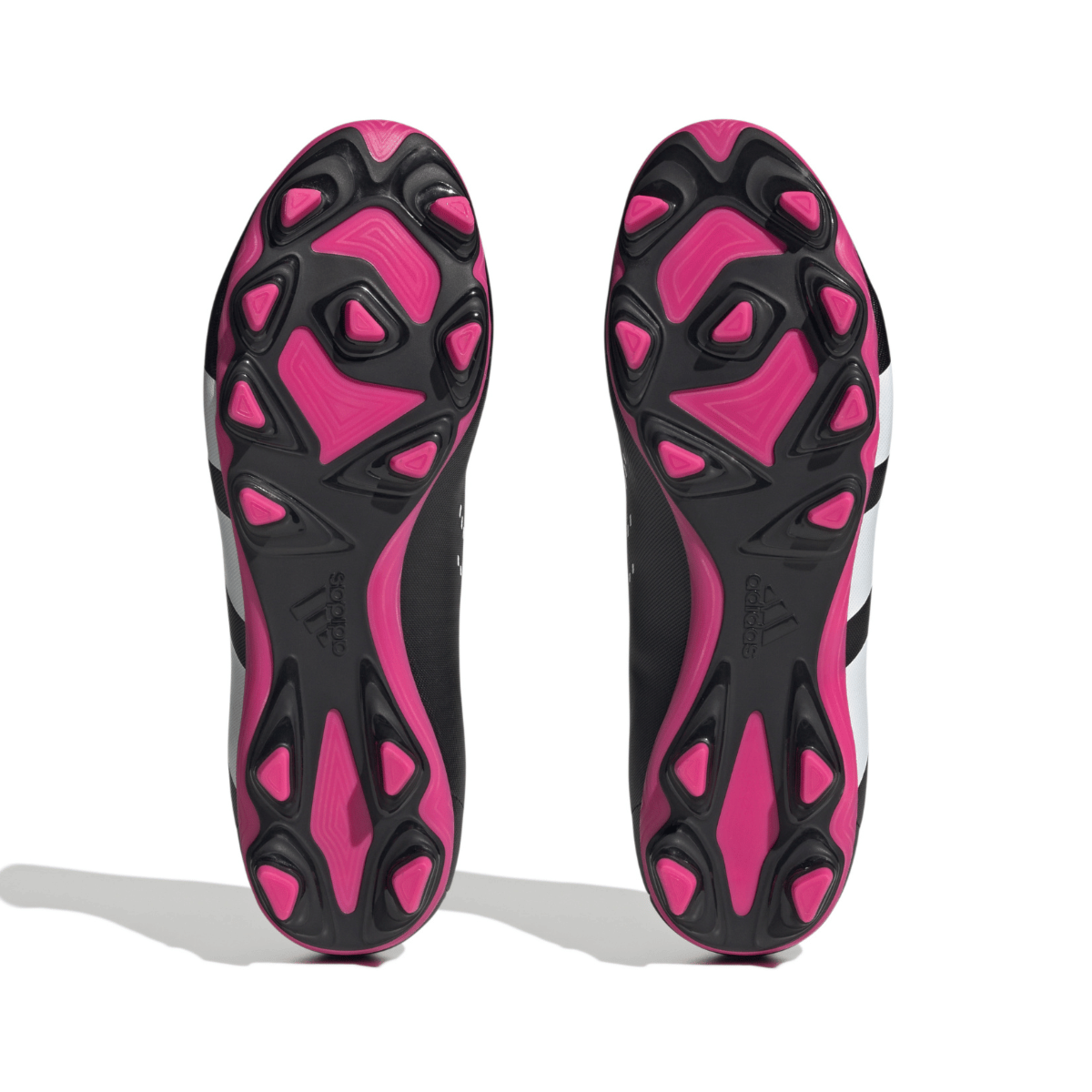 image_c93ad5c6-af6f-4574-8a19-4daa091796e4