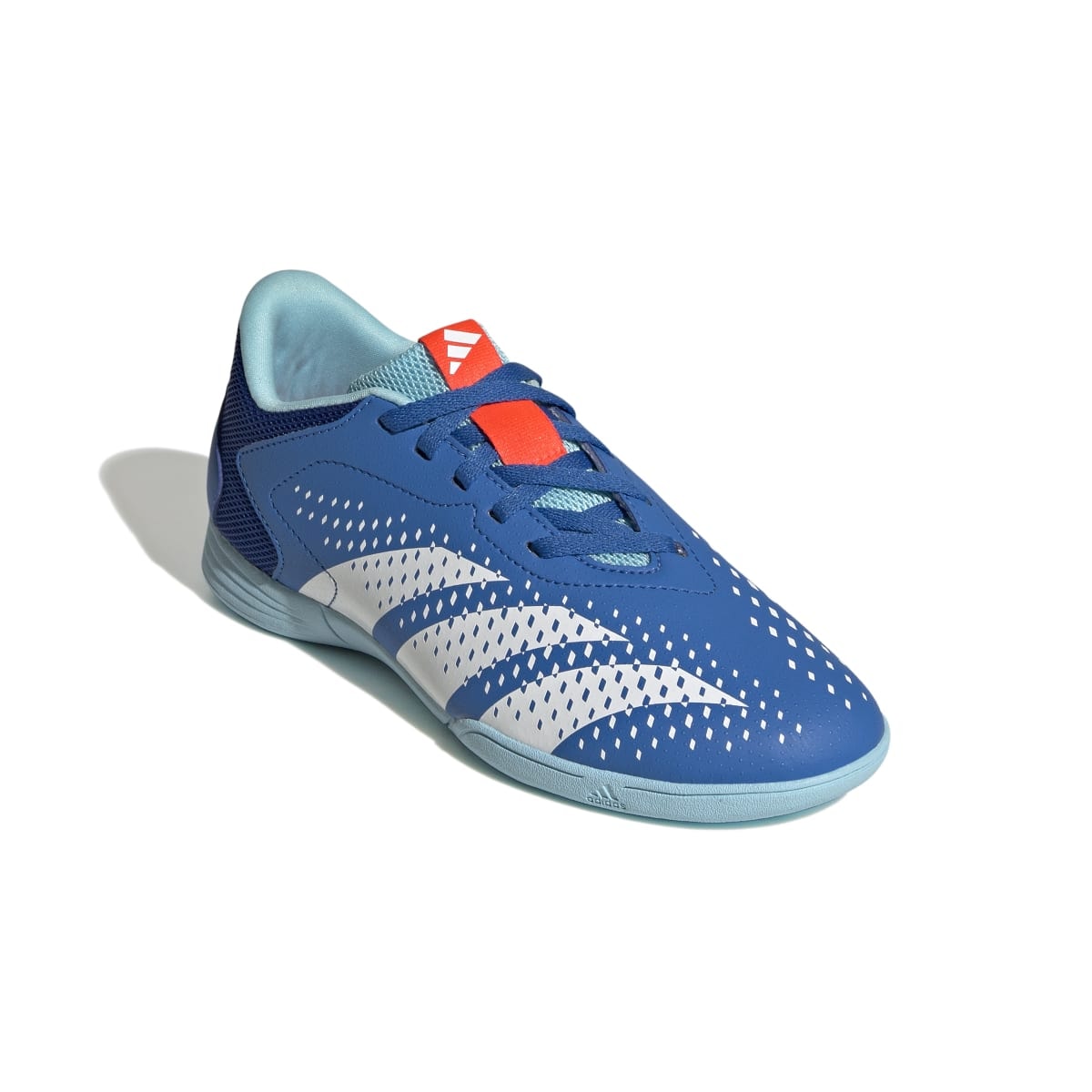 image_689dbb11-f77b-4af8-a74e-a13161408518