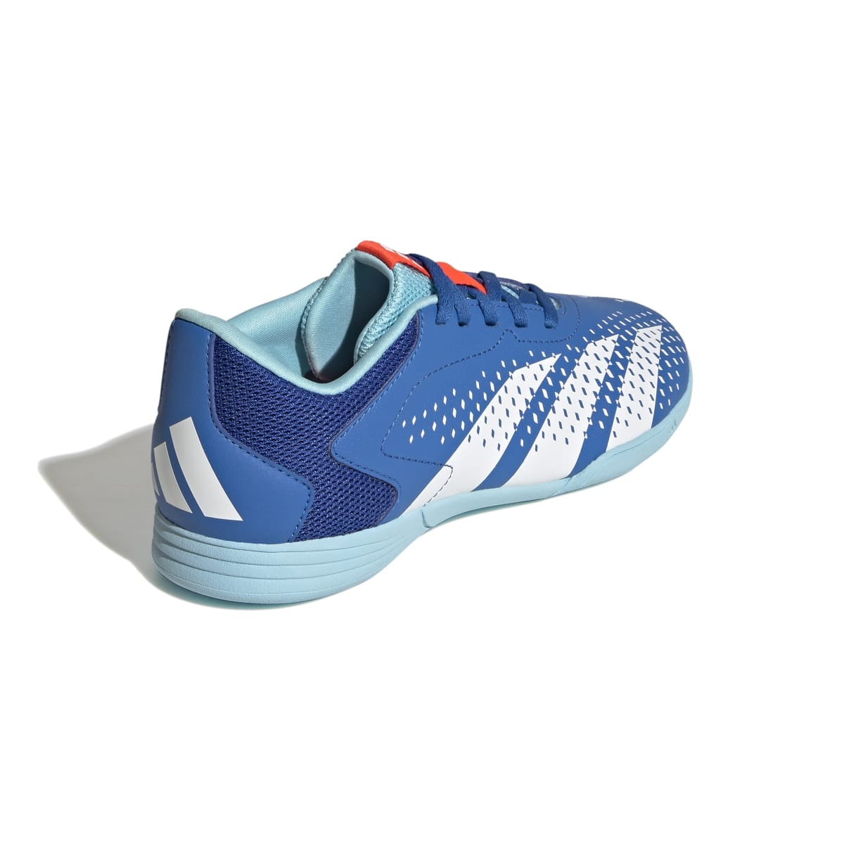 image_7f2c990b-9c76-43db-913a-9f0167442837