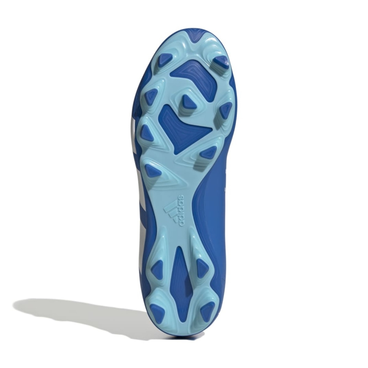 image_f849337e-54ec-47f2-94c6-eb7592f6b37a