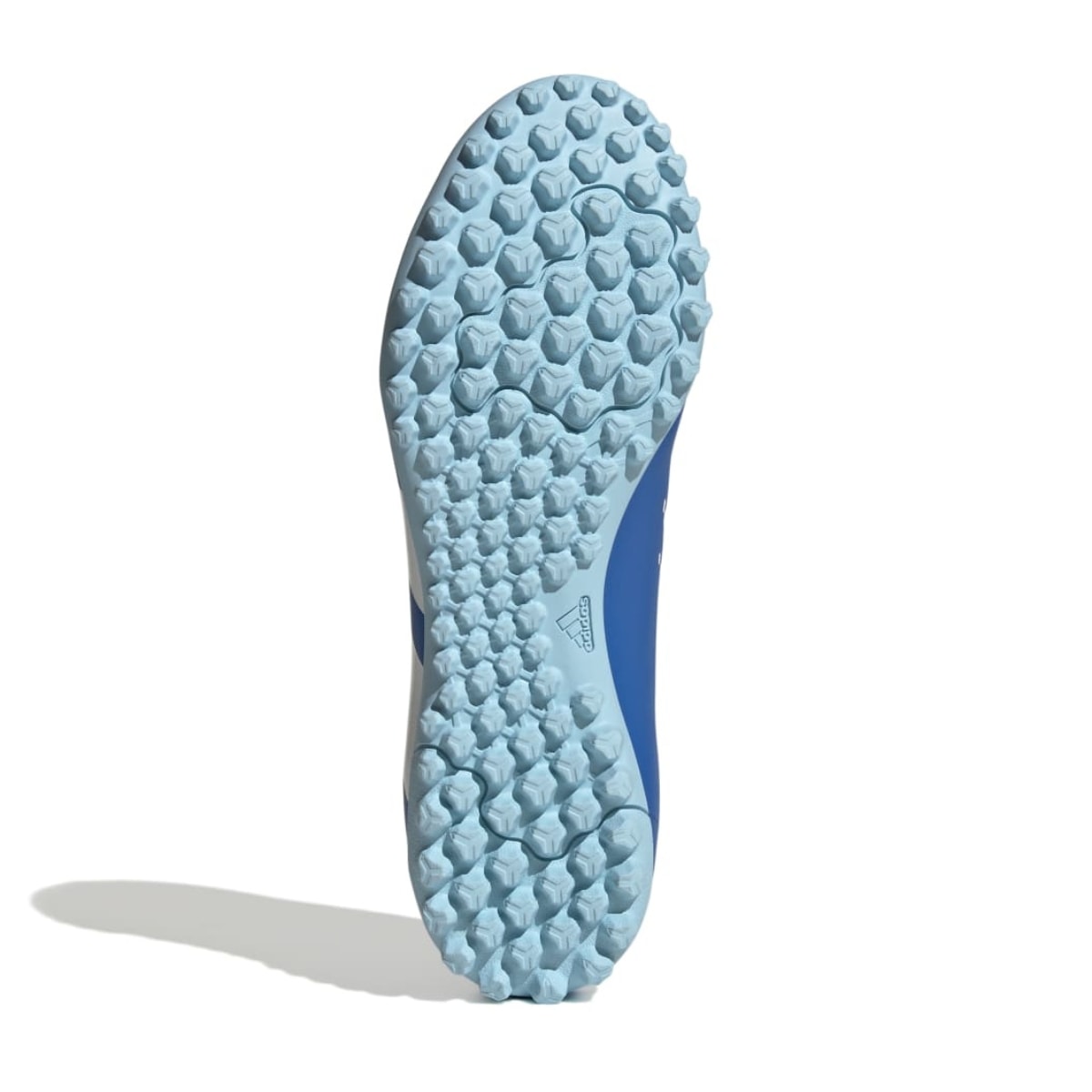 image_55325586-0dfc-43f6-86e7-bdbdeedaca34