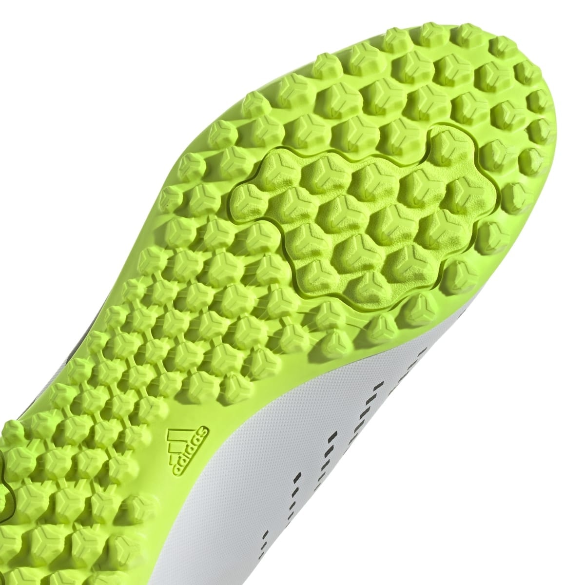 image_9838ce5e-4c0b-436f-a6eb-5913edb516ac