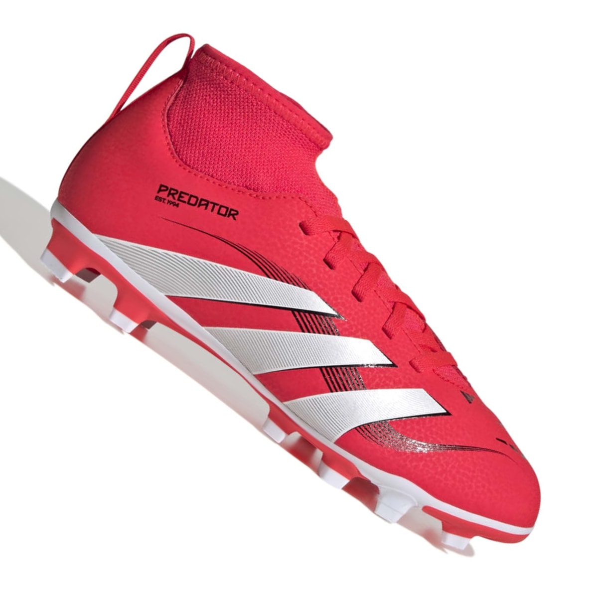 image_668ae5e5-bd62-473c-b3cd-97132029a18e