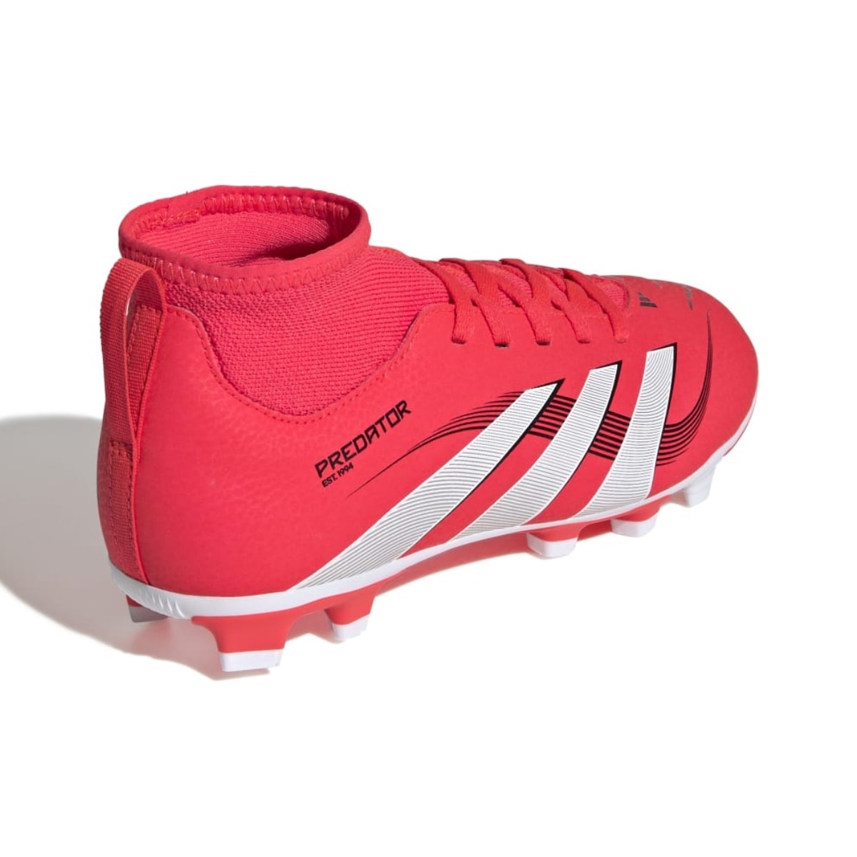 image_4d1376cd-78d8-4b5d-81ac-1d467870201d