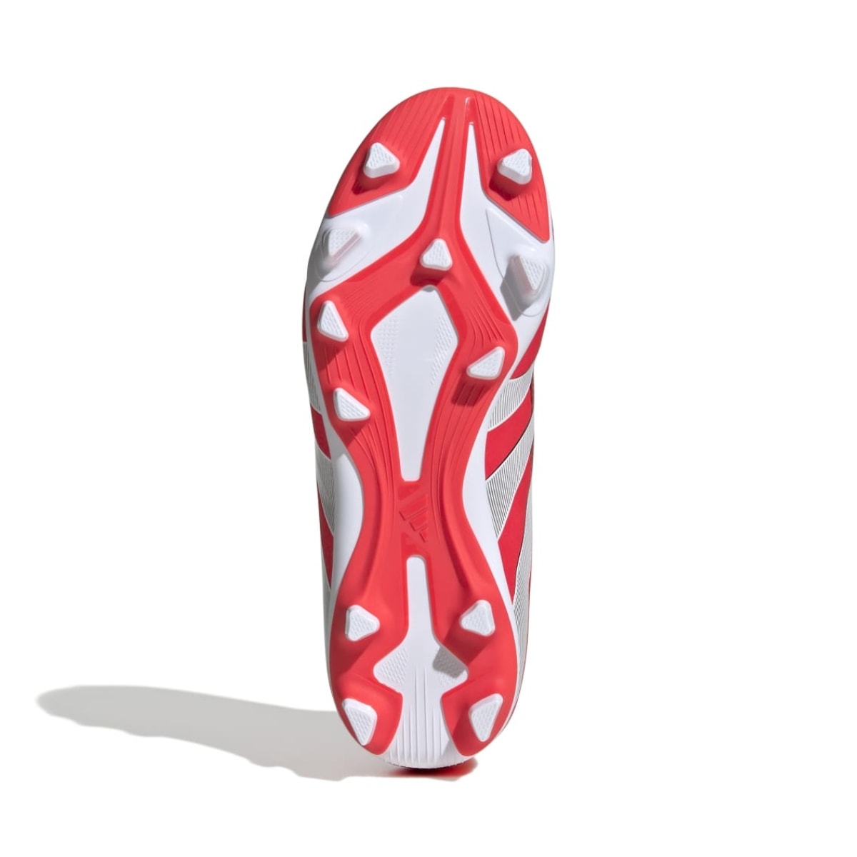 image_4dfeff13-c845-4a6f-a576-f0269298bed7