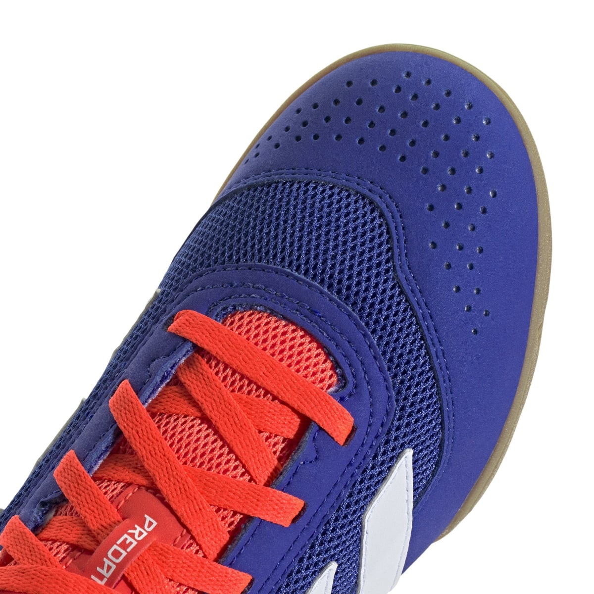 image_80092066-0b19-4327-9510-8ed665b152ef