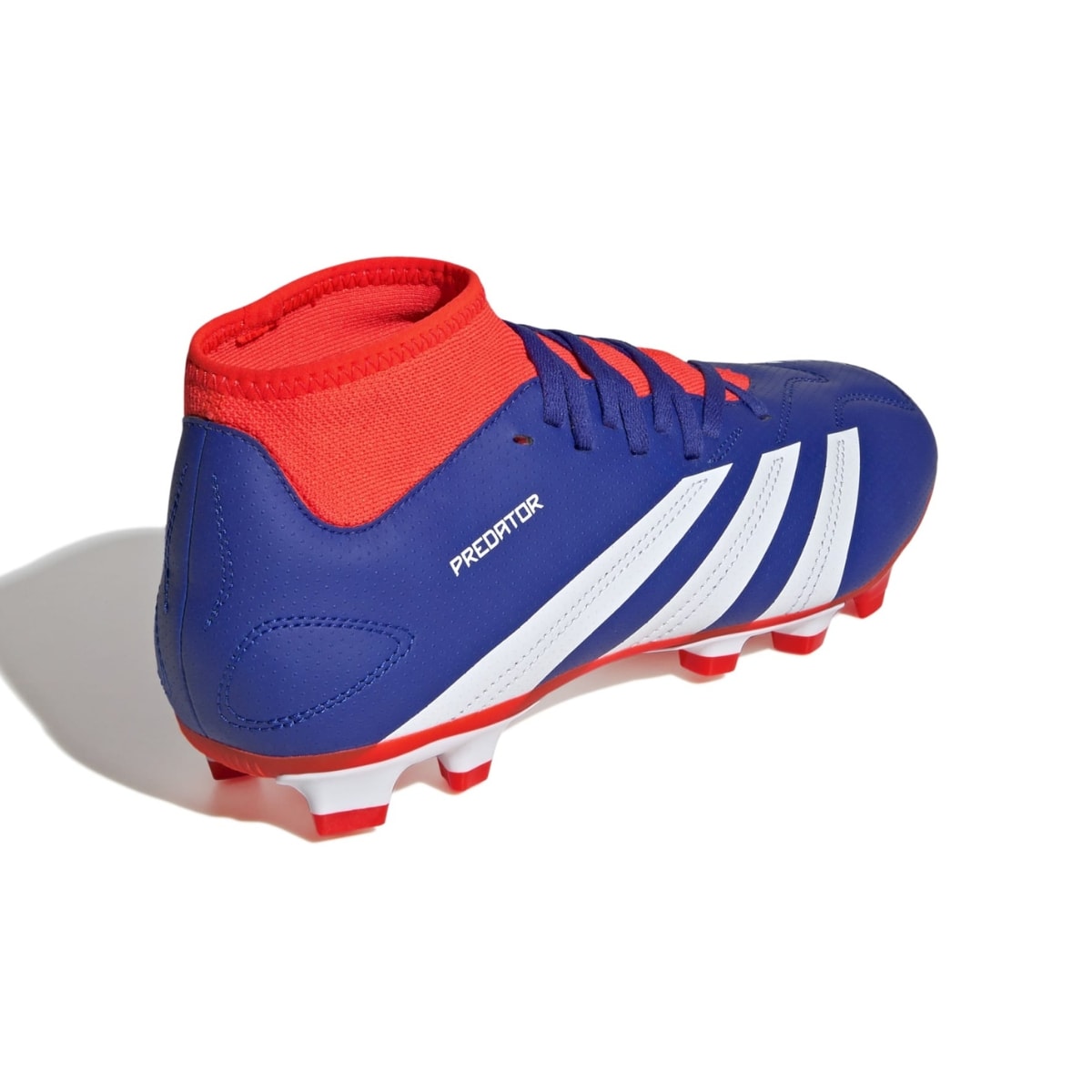 image_ac784e96-8a44-44de-a50e-a3543c432b38