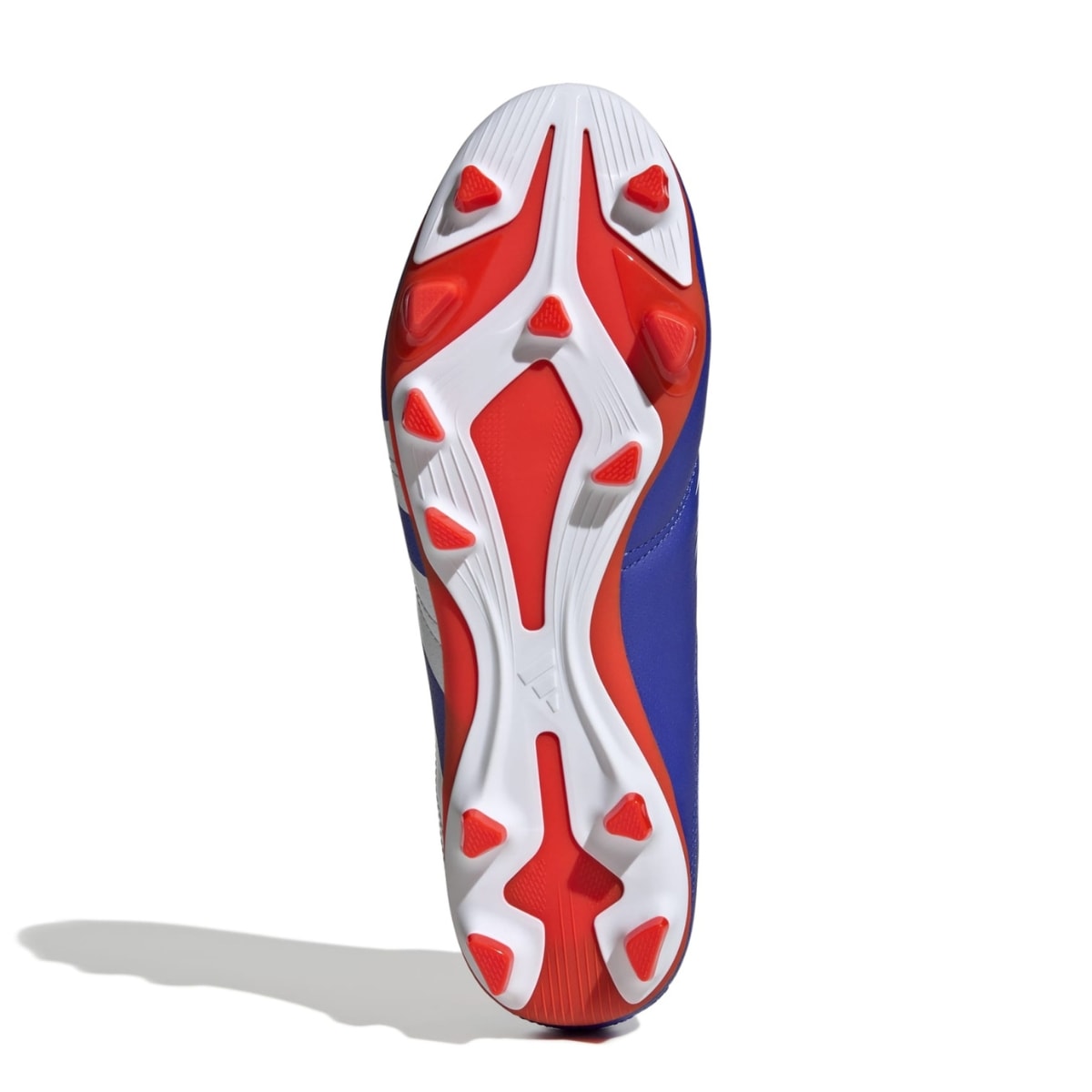 image_aa7458a1-0572-4bac-a9dd-3f416b683a19