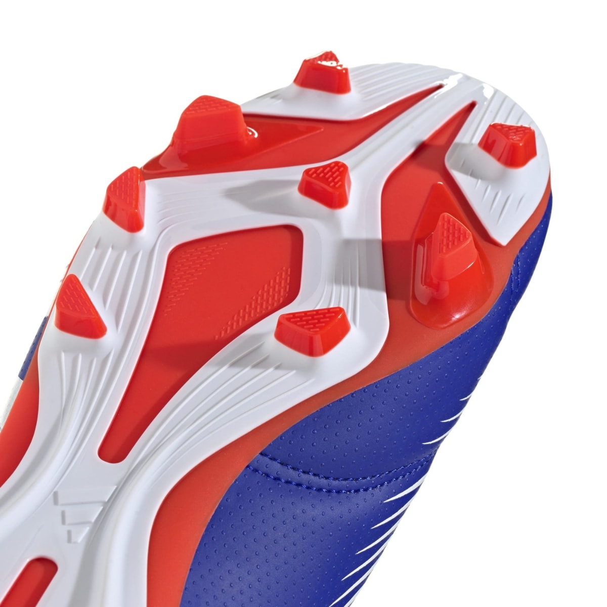 image_9db120bf-2b64-4f87-b5f3-dd74f05a320d