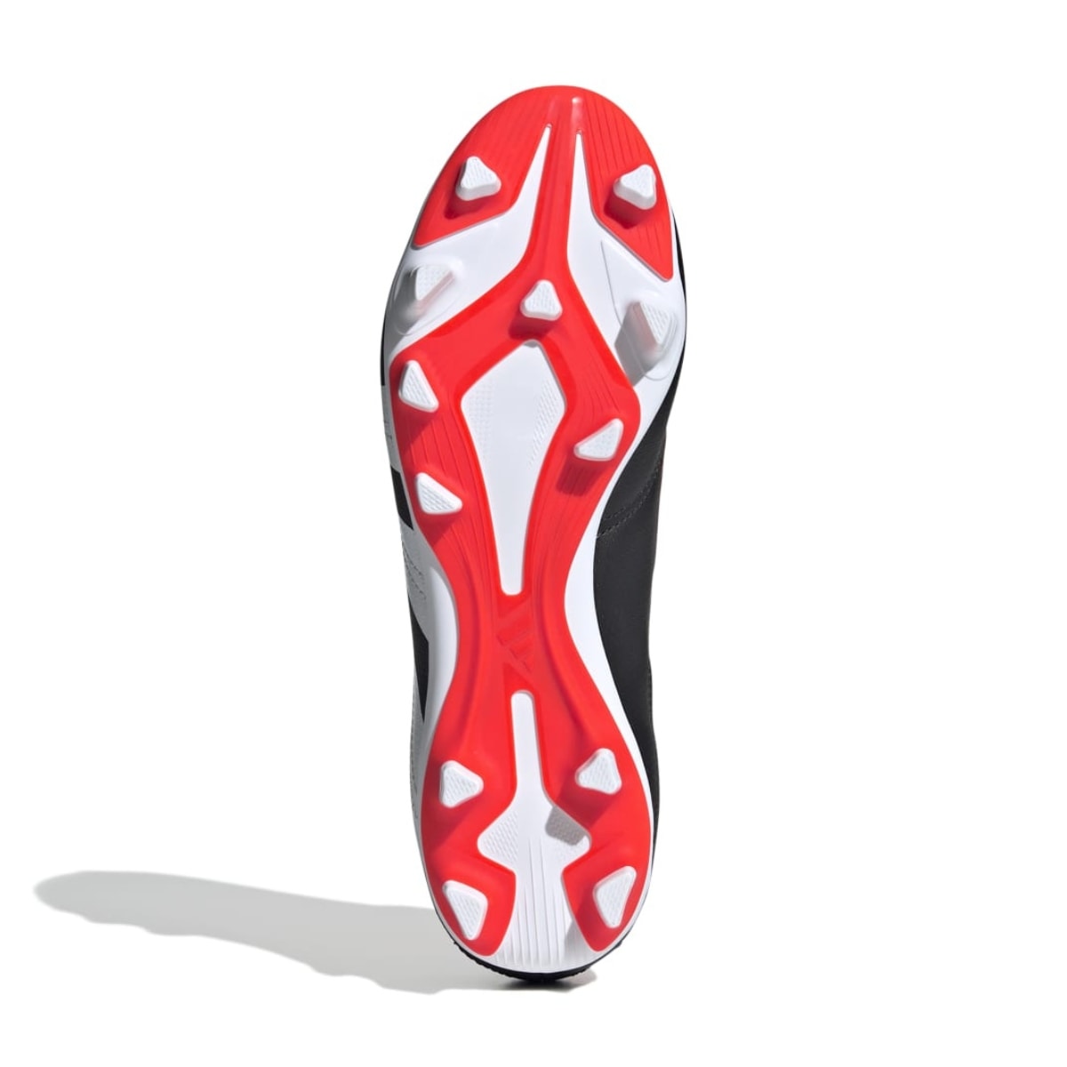 image_dfce9105-c242-4490-805a-5cf8002b0838