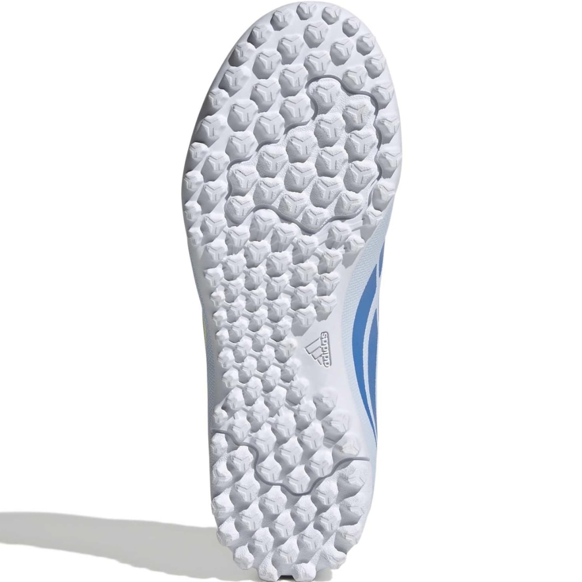 image_55054a1f-3e70-4619-892b-559898a4d4ba