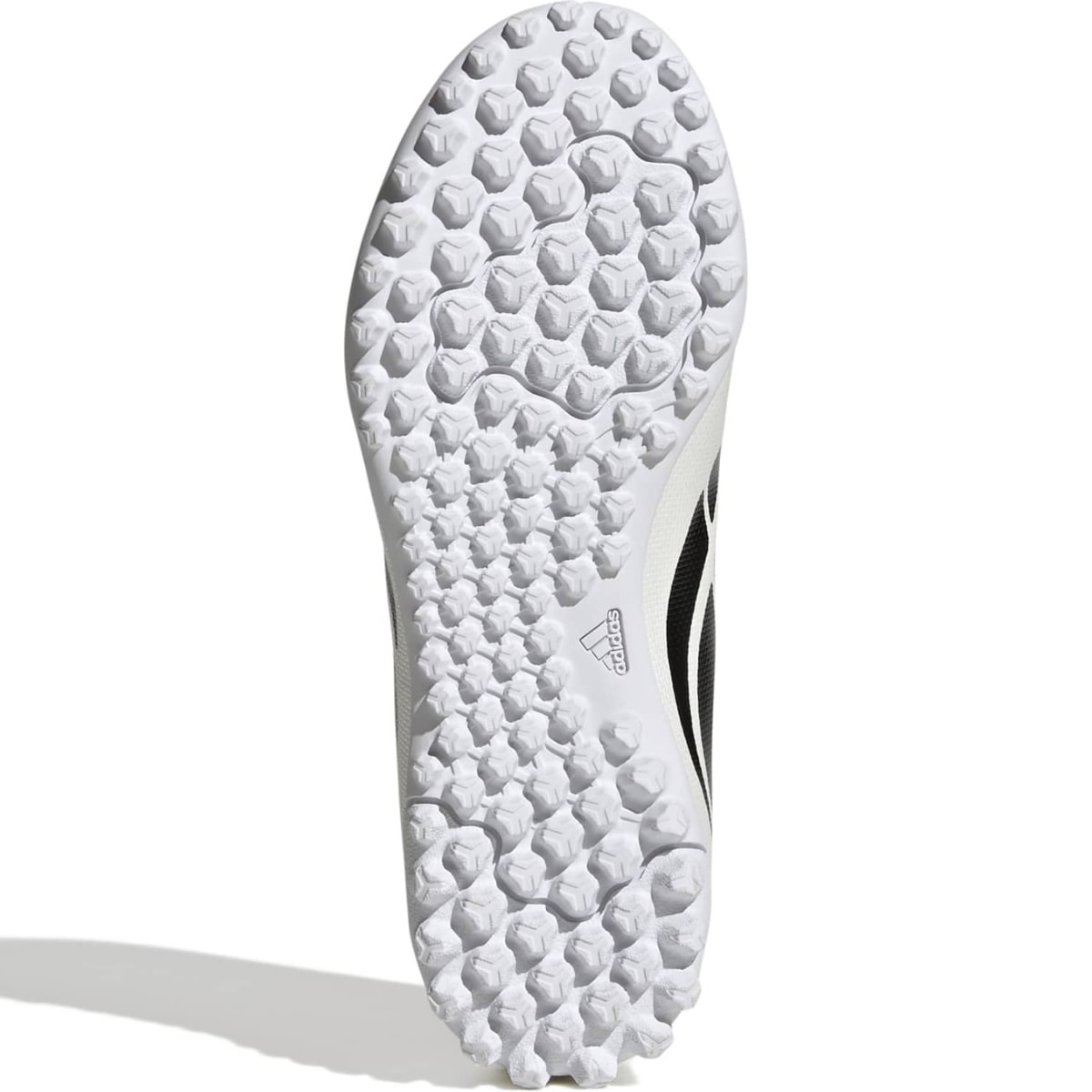 image_0794b9e7-1612-4b9f-89b6-87058f8bc362