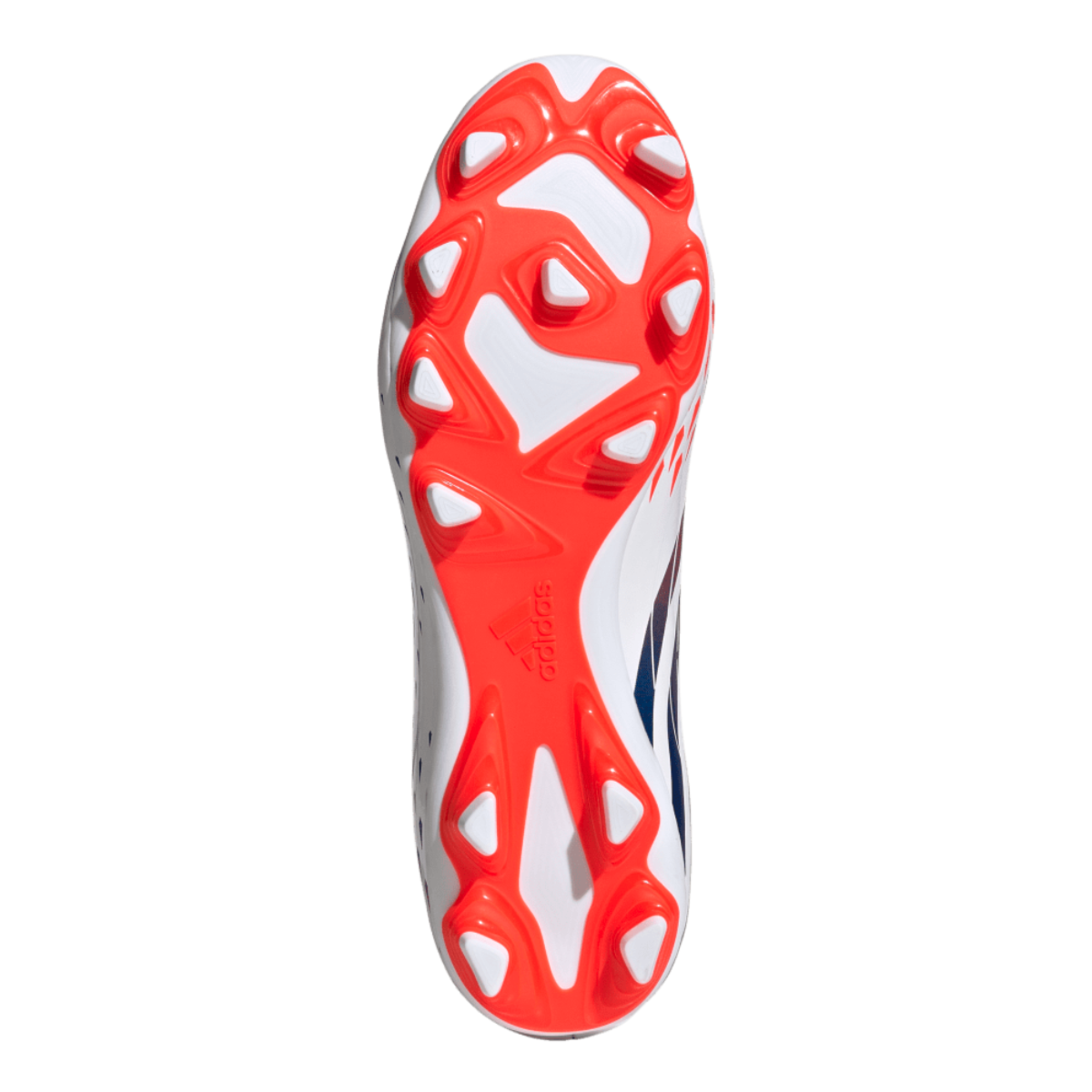 image_44b201be-64ec-4035-9fae-995b49f2c75e