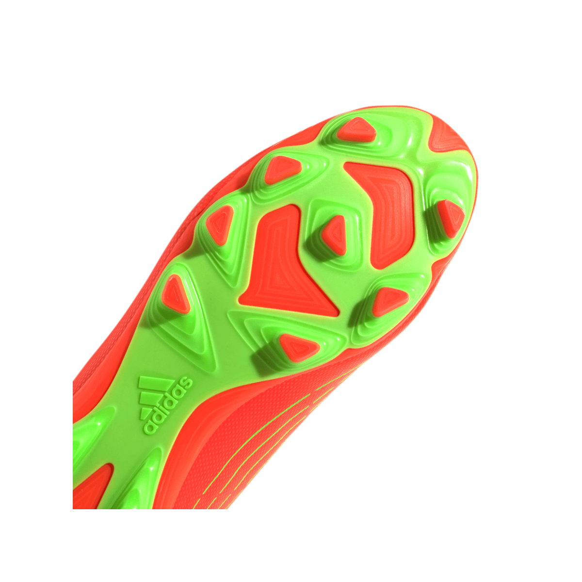 image_da939462-7d47-49be-8f7f-284b9b2b6297