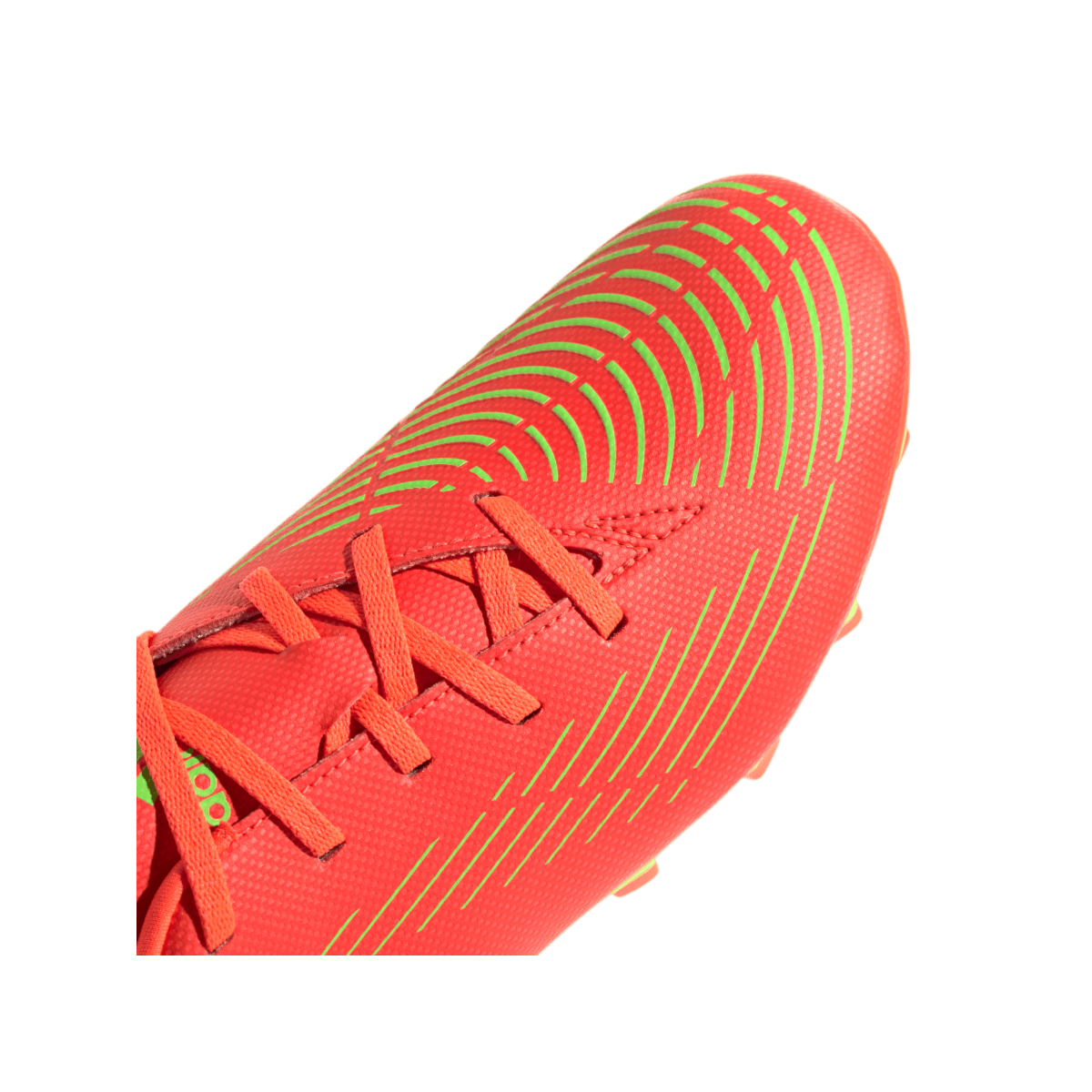 image_24ce6447-81ca-4118-ae35-13188a049ea9