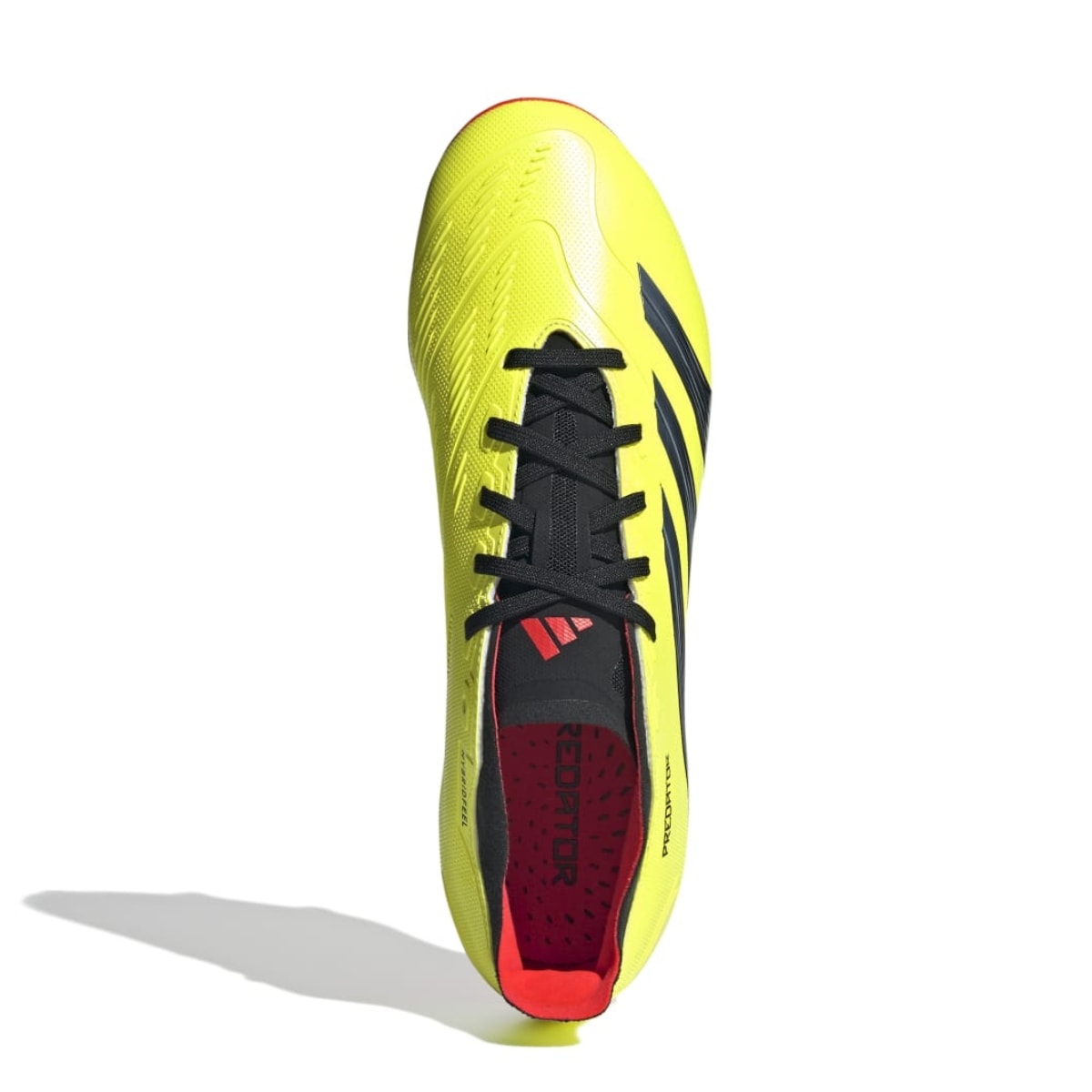 image_d17b3ba2-782a-46a6-a965-4d490d00097a