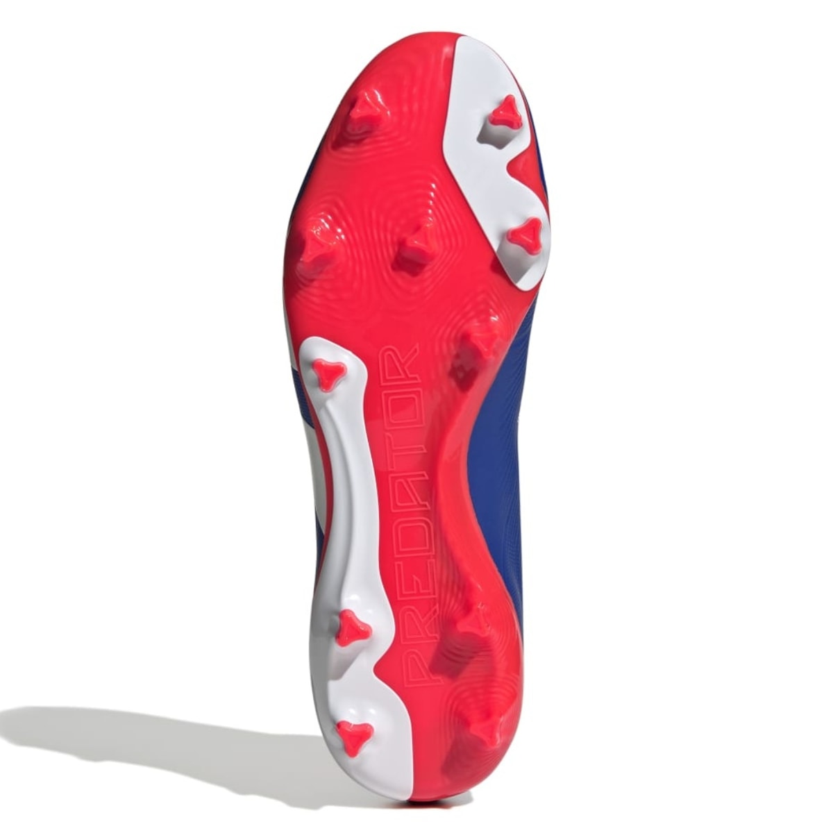 image_a0b37e4e-5d19-42c5-a739-13bb6d52d150