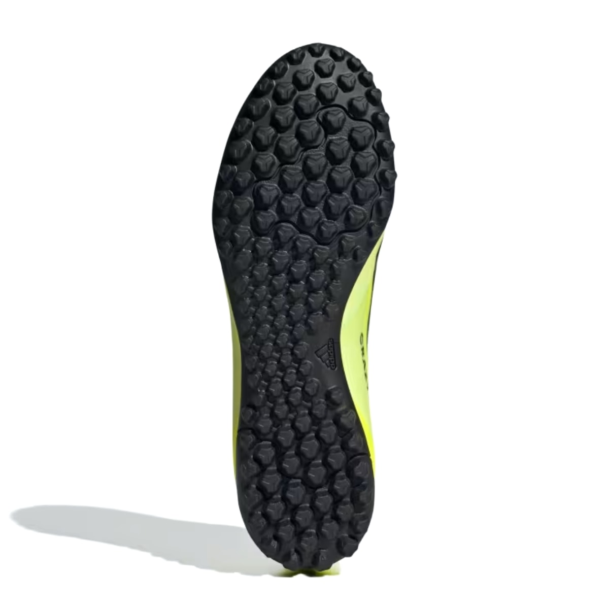 image_bf983ce5-34b8-42aa-8244-5c5e3cbe5069