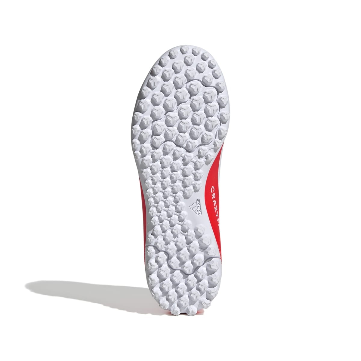 image_e4d0ffa9-a708-4d7c-822c-b7adf2b202a8