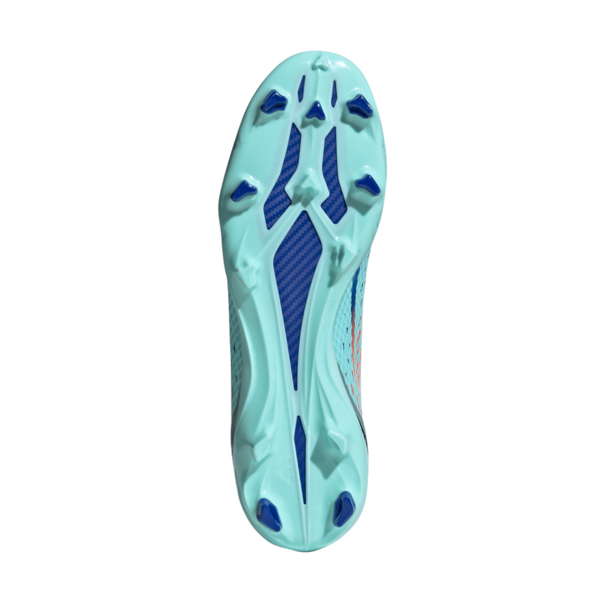 image_fa7e78b2-f69c-4728-8643-a7468c736945