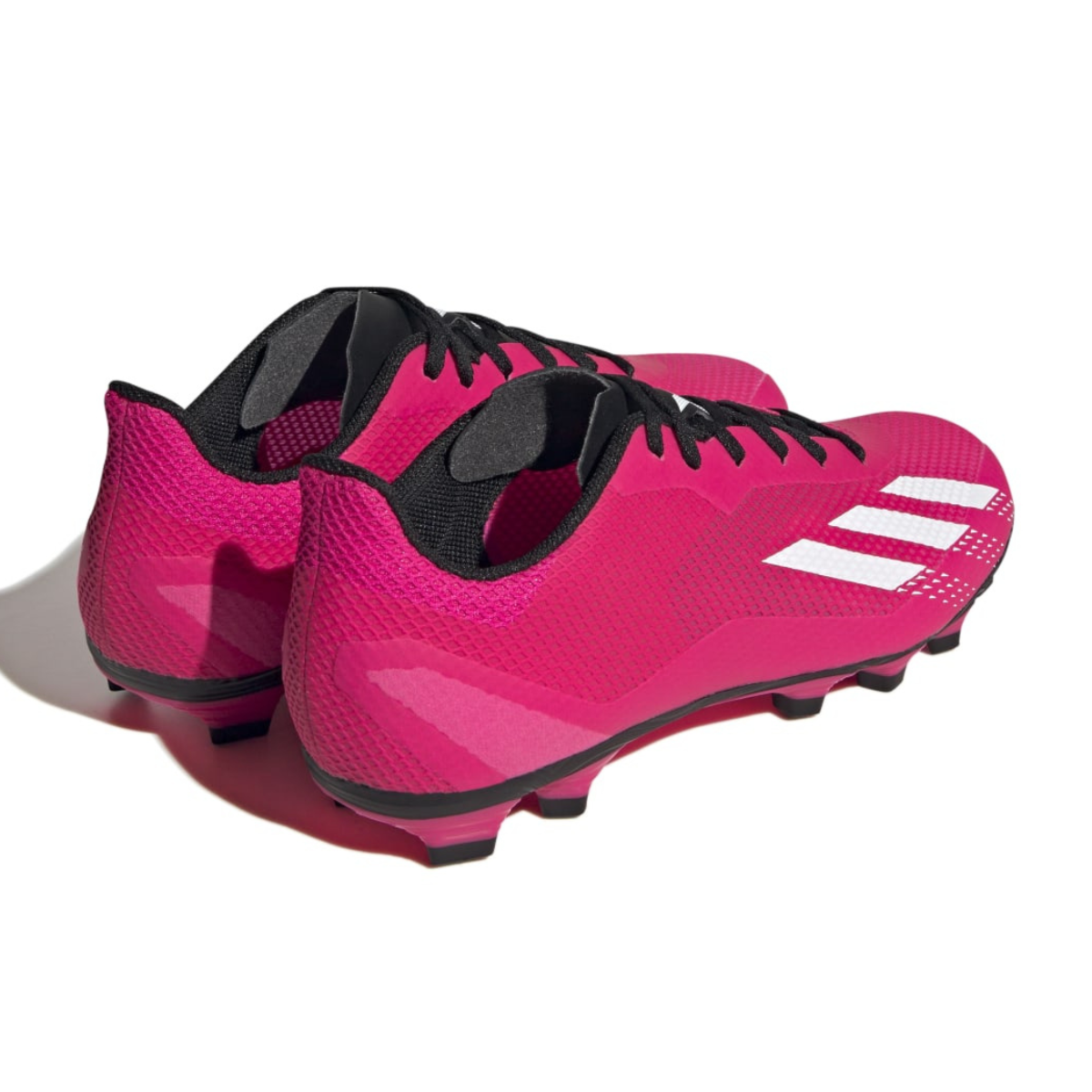 image_486a05d4-0f8c-4589-a3ad-2d6bd85b8e7e