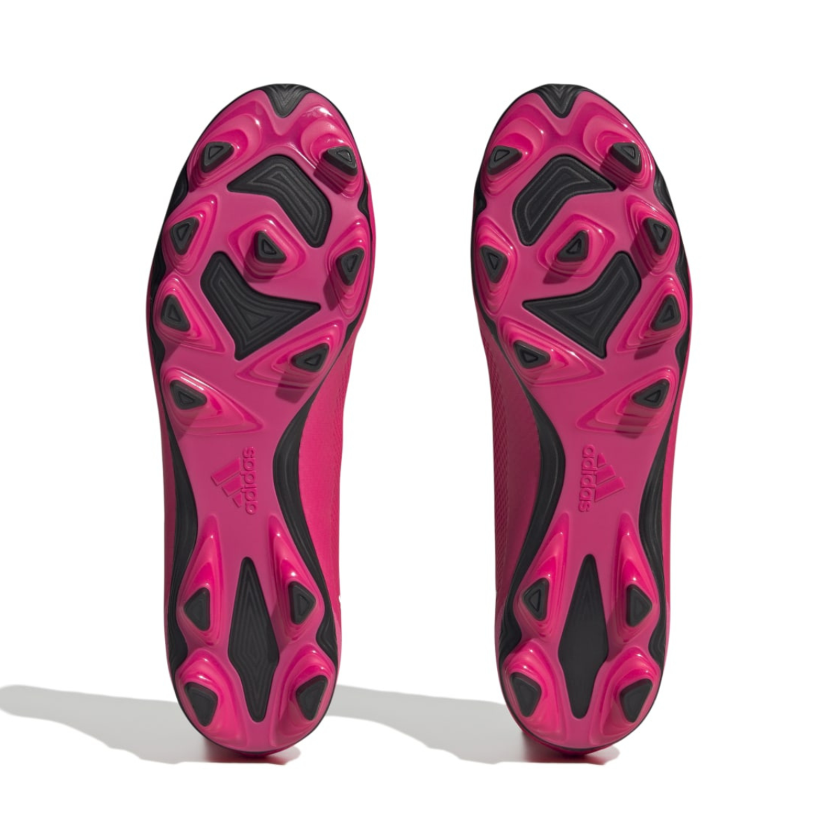 image_941f64f0-8f93-464c-afdf-01a912e8fce3