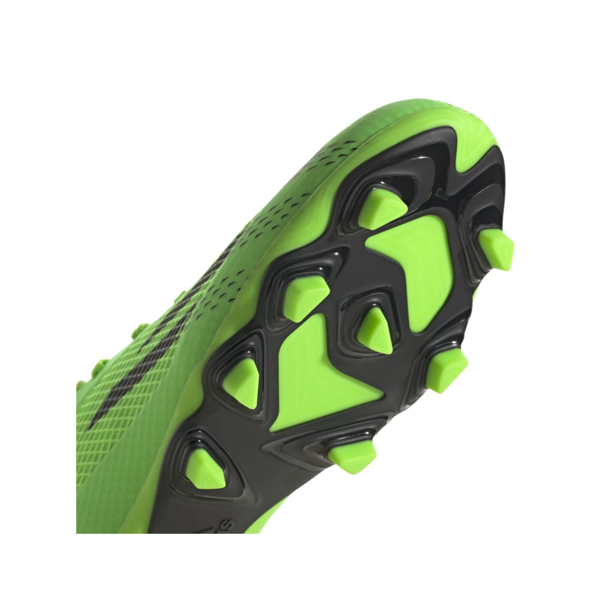 image_0f3953bb-6220-4158-9c22-937f8504dcd8