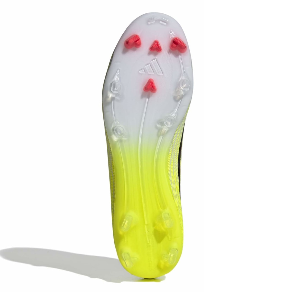 image_a5c15dd8-ed81-4e31-9550-e27a8782f47d