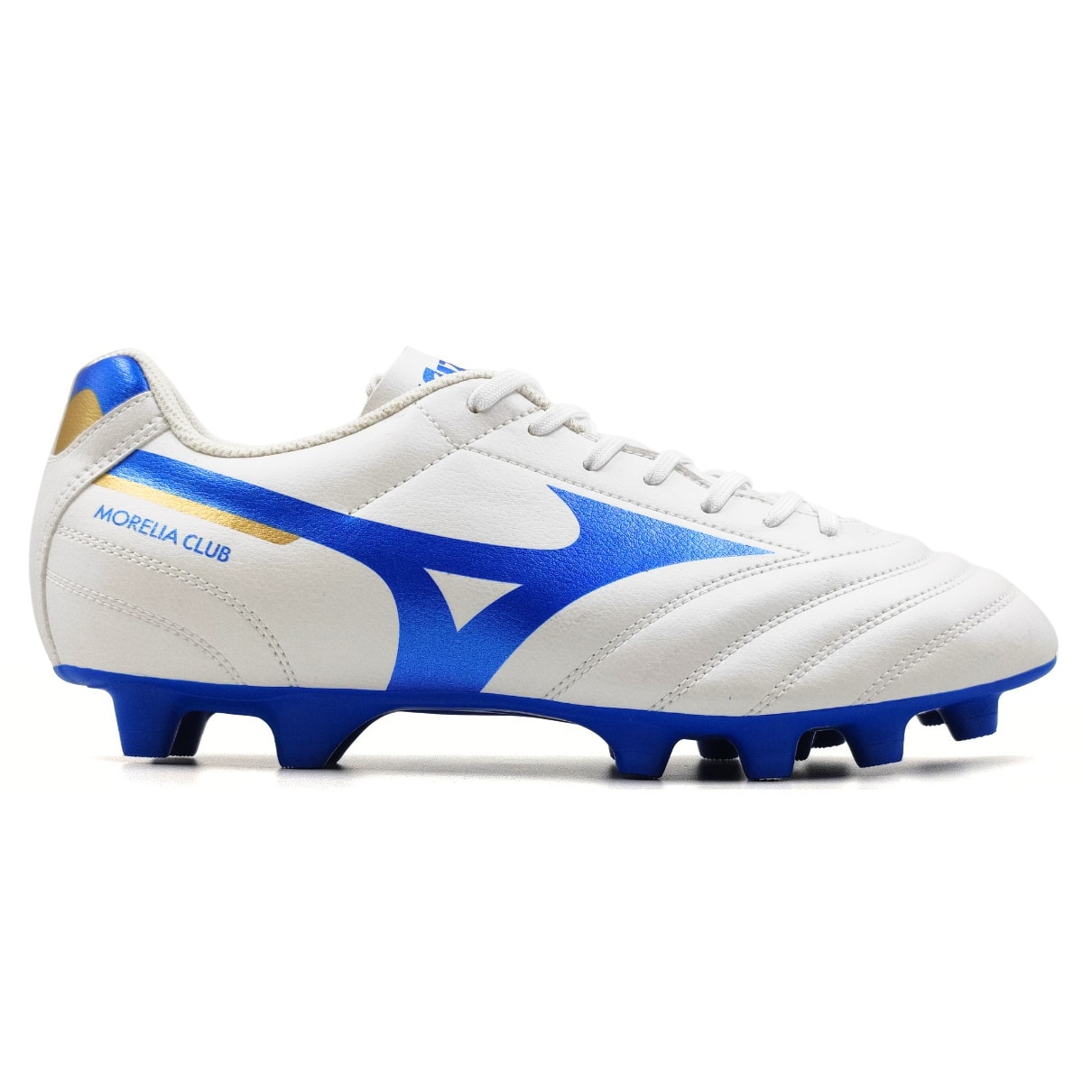 image_7464097e-4699-4e4d-a0f9-cd2430f8b429