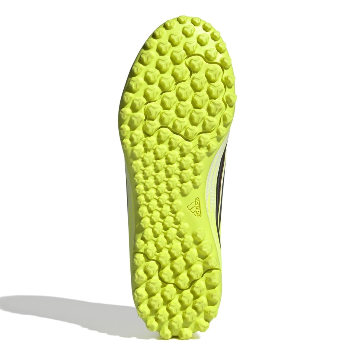 image_2e6cd531-d070-499d-9f8c-9229d109e817