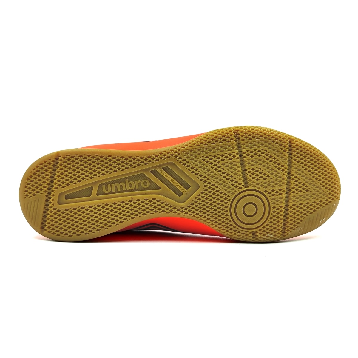 image_65748835-02da-4526-a7ab-1f5b43e018b0